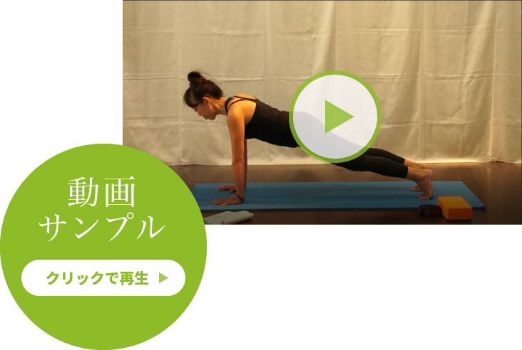 動画サンプル